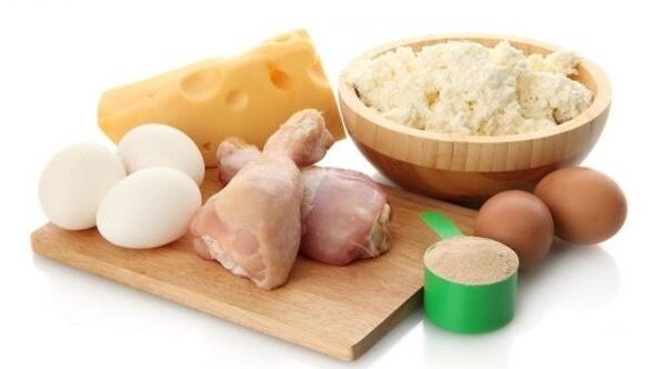 protein food for diet