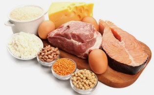 benefits of diet protein